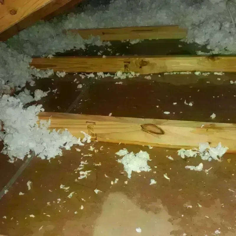 Attic Water Damage in Ravenswood, WV